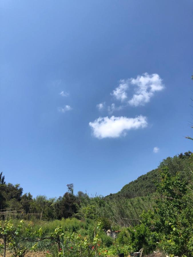 Villa Vasiliki วิตาลาเดส ภายนอก รูปภาพ
